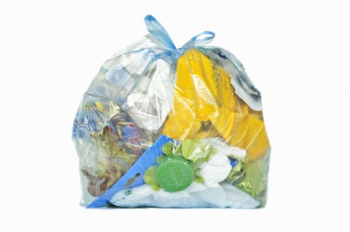 Supervisor conducting a site risk assessment for waste removal