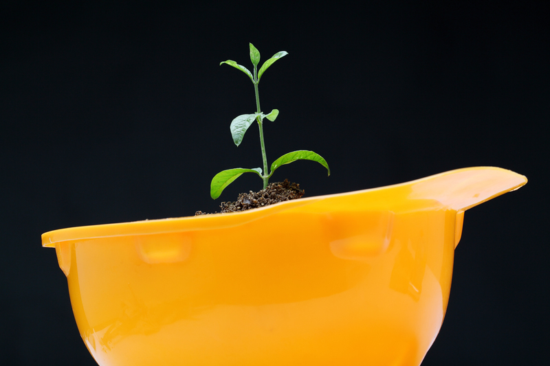 waste collection junk removal